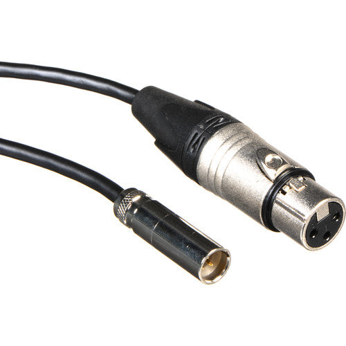 Blackmagic Design Set of 2 Mini XLR to XLR Audio Cables for Video Assist 4K (19.5