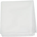 Aputure Light Box 30120 (12x48")