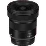 Panasonic Lumix S 14-28mm f/4-5.6 MACRO Lens (Leica L)