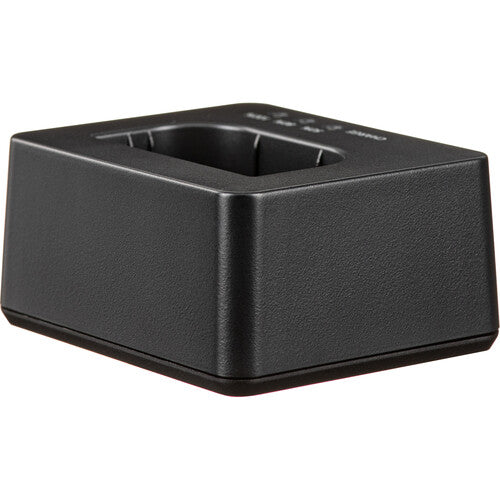 Panasonic DMW-BTC15 Battery Charger