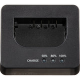 Panasonic DMW-BTC15 Battery Charger