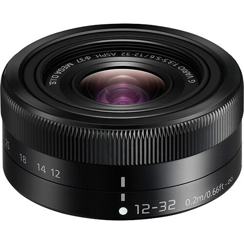 Panasonic LUMIX G100D Mirrorless Camera with 12-32mm Lens